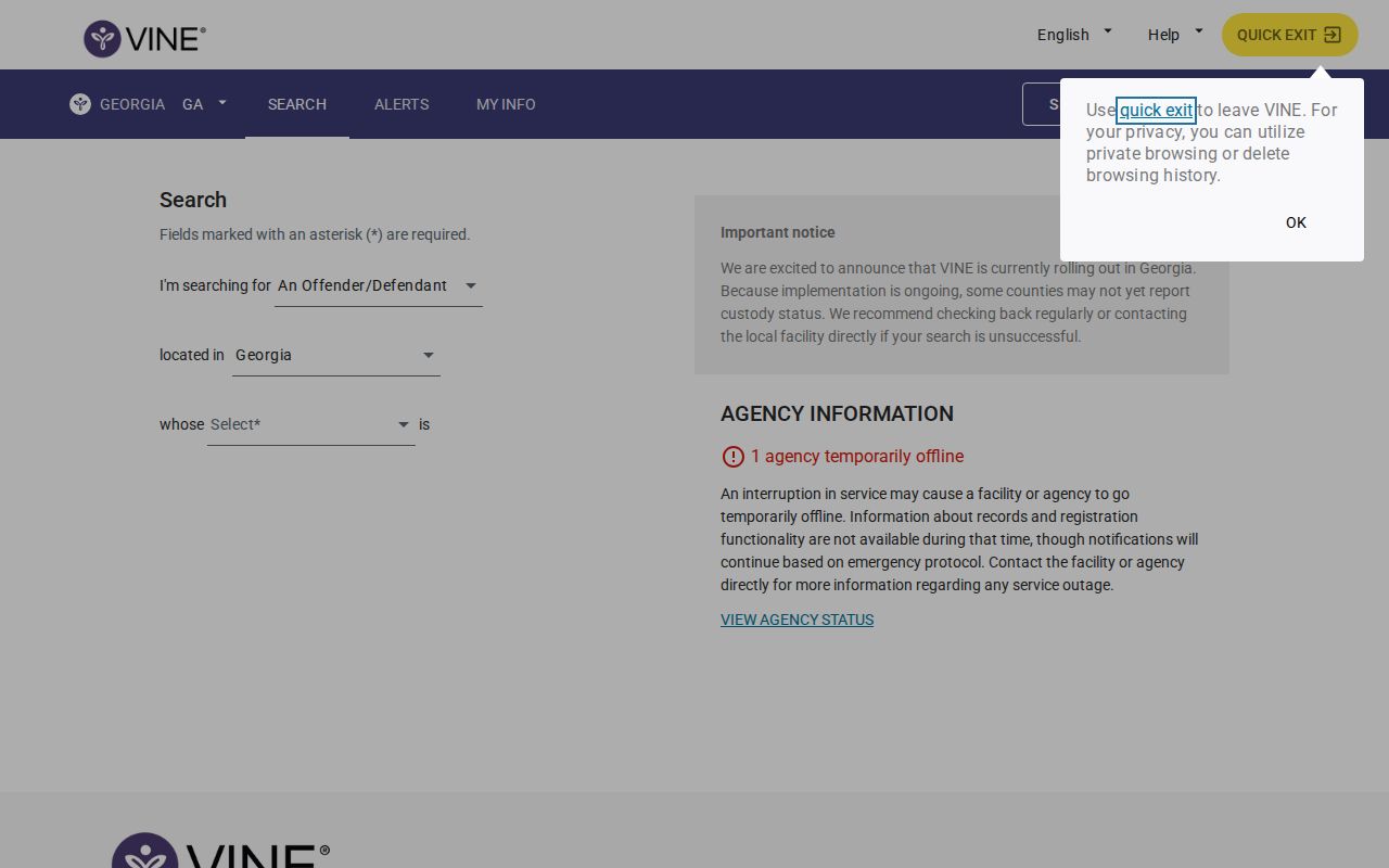 Georgia VINELink person search screen
